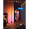Smart LED lampa pentru podea Govee Pro RGBICWW H6079, 170 cm, 48 W, 2100 lm, 6500 K, Wi-Fi, Bluetooth, Govee Home, Negru