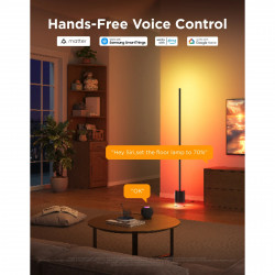 Govee Floor Lamp 2 RGBICWW H607C Smart LED Floor Lamp, 152 cm, 30W, 1725 lm, 6500K, Wi-Fi, Bluetooth, Govee Home, Black