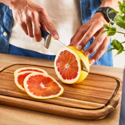 Кухненски нож Tefal K297S244, Поставка с вградено точило