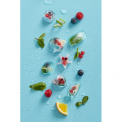 Lekue 1009042 Ice Tray with Lid, 22 x 11 x 2.3 cm, 11 Dolphins, -40 to +60°C, Blue