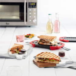 Lekue 1009081 Microwave Grill Pan, 25.2 x 14.8 x 5.4 cm, Platinum Silicone, Non-stick Steel, 0 to +240°C, Red