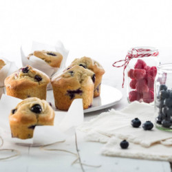 Lekue Baking Pan 1010170, 30x17.5x3.5 cm, 720 ml, -60 to +220°C, Platinum Silicone, Red