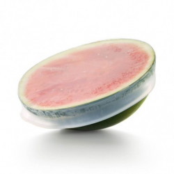 Capac din silicon Lekue 1010215, 26-30 cm, Etansare, -60/+220 °C, Transparent