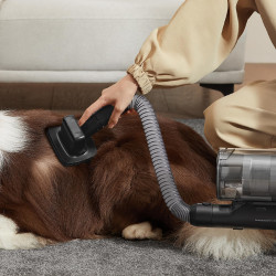 Dreame Z30 VZV17A Upright Vacuum Cleaner, 855W, 310AW, 150,000 rpm, 3 speed settings, 0.6 L, 90 min runtime, HEPA H14, LED, Brushless motor, Black