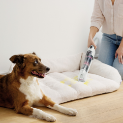 Shark StainForce HX100EUT Cordless Spot Cleaner, 100W, 15 min, Carpets, Upholstery, Mattresses, Self-cleaning, White