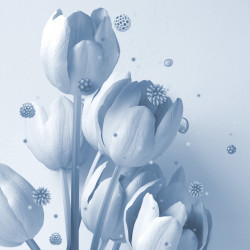 Xiaomi Smart Air Purifier 4 Compact BHR5860EU, 27W, 27 m², 230 m³/h, PM2.5, Air Quality Indicators, SMART, Mi Home, White