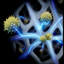 Пречиствател за въздух Dyson HJ10 HushJet™ Purifier Compact Wh/Sv 491355-01