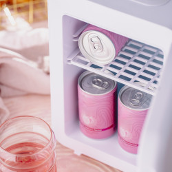 Adler AD 8084 Mini Fridge, 42W, 4 L, Peltier, Cooling/Heating, Adjustable Shelf, White