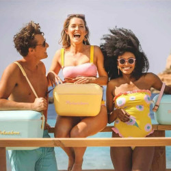 Ψυκτική τσάντα Polarbox Pop, 20 λίτρα, πολυστυρόλ AIRPOP, 5-15 °C έως 24 ώρες, Πράσινο/Μωβ