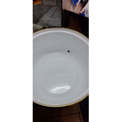 La mâna a doua: Aragaz Goldmann GM 8017-22G, 5l, 22x14 cm, Emailat, Inducție, Capac din sticlă, Verde smarald