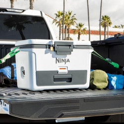 Ψυκτική θήκη Ninja FrostVault FB151EUWH, 47 λίτρα, Παθητική ψύξη, χωρητικότητα 80 κουτιών, Διατηρεί τον πάγο έως και 6 ημέρες, Ξηρό διαμέρισμα, Λευκό