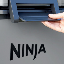 Lada frigorifica Ninja FrostVault FB230EUGY, 28 l, Pasiva, 48 doze, Pastreaza gheata pana la 5 zile, Compartiment uscat, Roti, Gri