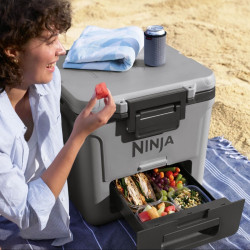 Ninja FrostVault FB230EUGY Cooler, 28 L, Passive, Holds 48 cans, Keeps ice for up to 5 days, Dry compartment, Wheels, Gray