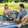 Ninja FrostVault FB131EUGY Cooler, 28 L, Passive, Holds 48 cans, Keeps ice for up to 5 days, Dry Compartment, Gray