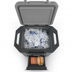 Ninja FrostVault FB131EUGY Cooler, 28 L, Passive, Holds 48 cans, Keeps ice for up to 5 days, Dry Compartment, Gray