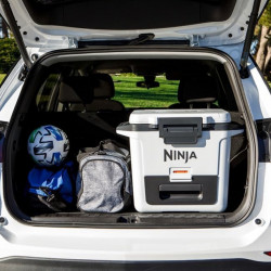 Ninja FrostVault FB131EUWH Cooler, 28 L, Passive, Holds 48 cans, Keeps ice for up to 5 days, Dry Compartment, White
