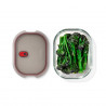 Black+Blum Stack+Nest FBGR-BX-L107 Food Storage Container, 1.2 L, Rectangular, Oven-Safe, BPA-Free, Borosilicate Glass, Gray/Red
