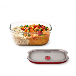Black+Blum Stack+Nest Food Storage Container FBGR-BX-M017, 0.9 L, Rectangular, Oven-Safe, BPA-Free, Borosilicate Glass, Gray/Red