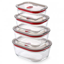 Комплект 4 бр кутии за храна Black+Blum Stack+Nest FBGR-BX-PACK4, 0.38/0.6/0.9/1.2 л, Правоъгълни, Подходящи за фурна, Без BPA, Неръждаема стомана, Сив/Червен