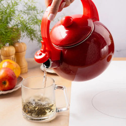Kinghoff KH 2080 Whistling Kettle, 2 L, Enameled Interior, Induction, Red