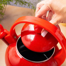 Kinghoff KH 2080 Whistling Kettle, 2 L, Enameled Interior, Induction, Red