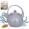 Kinghoff KH 2079 Whistling Kettle, 2 L, Enameled Interior, Induction, Gray