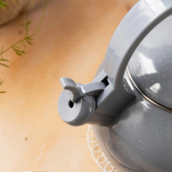Kinghoff KH 2079 Whistling Kettle, 2 L, Enameled Interior, Induction, Gray