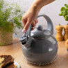 Kinghoff KH 2079 Whistling Kettle, 2 L, Enameled Interior, Induction, Gray