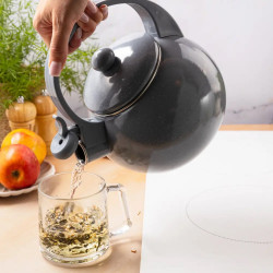 Kinghoff KH 2079 Whistling Kettle, 2 L, Enameled Interior, Induction, Gray