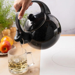 Kinghoff KH 2039 Whistling Kettle, 2 L, Enameled Interior, Induction, Black
