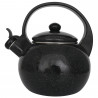 Kinghoff KH 2039 Whistling Kettle, 2 L, Enameled Interior, Induction, Black