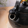 Kinghoff KH 2039 Whistling Kettle, 2 L, Enameled Interior, Induction, Black