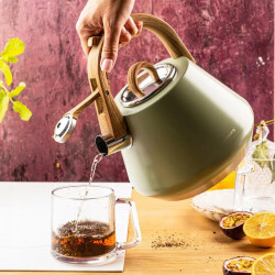 Βραστήρας με σφυρίχτρα Klausberg KB 9062, 2,5 λίτρα, Ανοξείδωτο ατσάλι, Λαβή που δεν ζεσταίνεται, Για επαγωγικές εστίες, Πράσινος