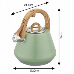 Klausberg KB 9062 Whistling Kettle, 2.5 L, Stainless Steel, Cool-Touch Handle, Induction, Green