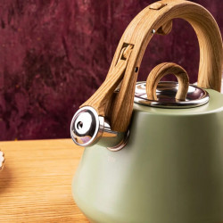 Klausberg KB 9062 Whistling Kettle, 2.5 L, Stainless Steel, Cool-Touch Handle, Induction, Green
